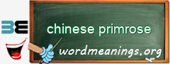 WordMeaning blackboard for chinese primrose
